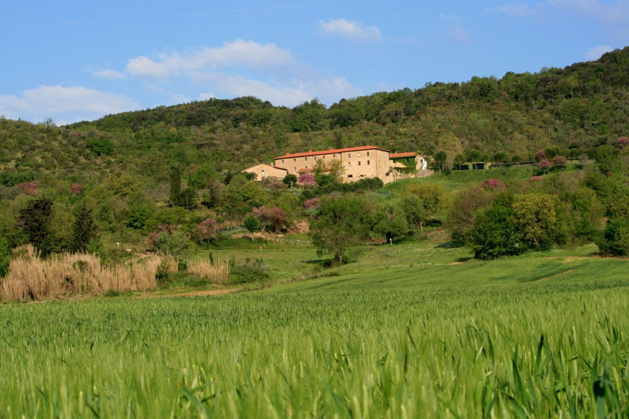 Agriturismo San Ottaviano Monterotondo  Exteriör bild